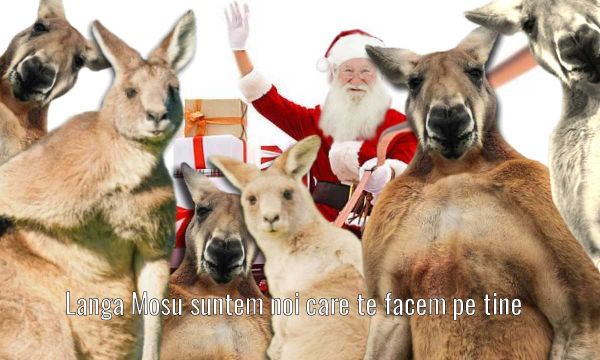 Sania lui Moş Crăciun trasă de canguri, după ce renii au intrat în carantină în Australia.