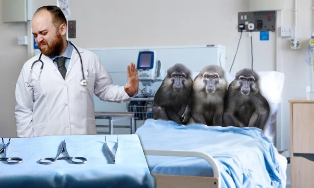 Gata cu încălcarea drepturilor omului în spitale. Pacienţii vor fi clasificaţi ca maimuţe.